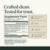 Fantastic Fungi Reishi Mushroom Extract Drops - Chill Elixir Mushroom
