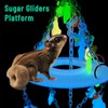 Glow in the Dark Sugar Glider Planet Moon Space Platform