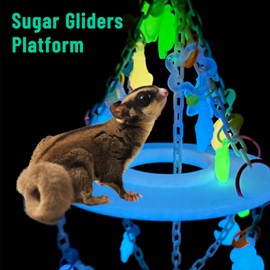 Glow in the Dark Sugar Glider Planet Moon Space Platform Toy - Hanging Climbing Toy for Sugar Glider Cage Accessories