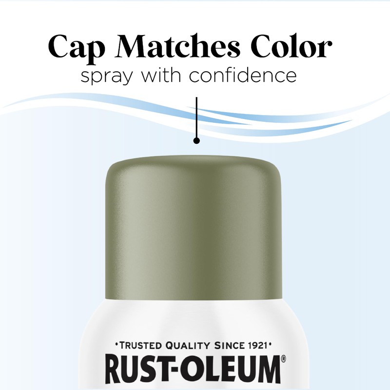 Rust-Oleum Low Odor Premium Spray Paint, 11 oz, Matte In