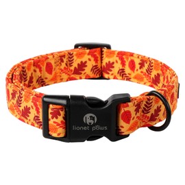 Lionet Paws Orange Dogs Collar Fall, Red Leaves Puppy Collars with Quick Release Buckle for Boy and Girl Female Dogs Small, Neck 10-16 inches