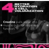 Driven Nutrition Creatina Monohidrato Micronizado 200 G