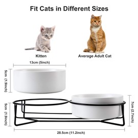 PETTOM Raised Cat Bowl, Cat Feeding Station, Ceramic Feeding Bowl and Water Bowl for Cats and Small Dogs (Green + Grey)