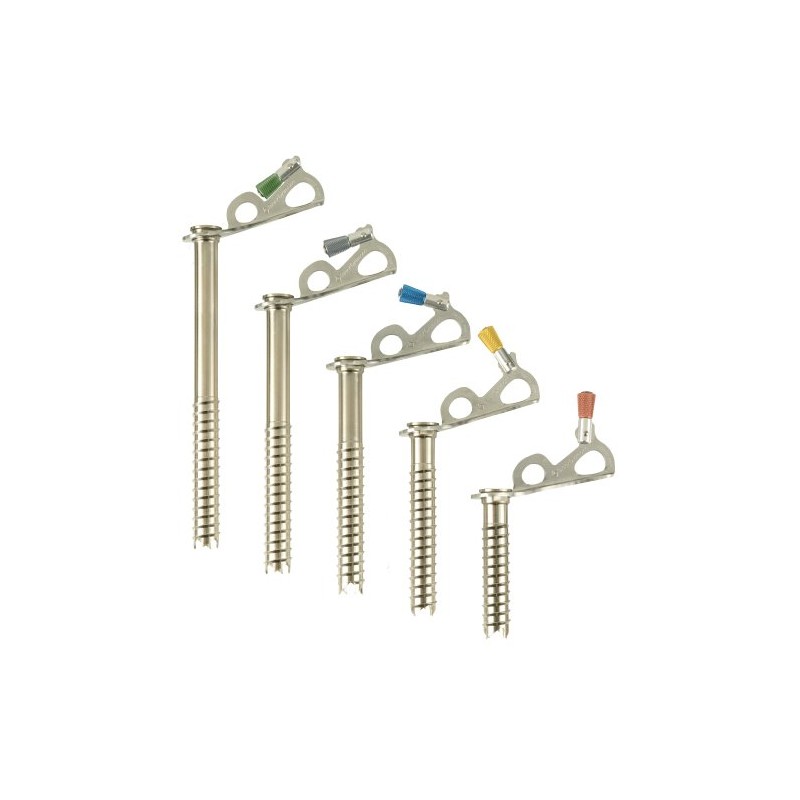 Black Diamond - Express Ice Screw
