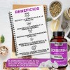 Berberina Prettan Suplemento Nivelador De Azúcar 500mg Berberina