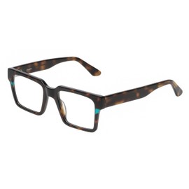 Reptile Leatherback Blue Light Progressive Glasses +2.50 Tortoise Havana Mens Womens Multifocal Readers Multi Focus Cheater