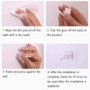 Plant Climbing Wall Fixture Clips – Self Adhesive Plant Vine