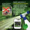 Covington PRO-LINE D-THATCHER Liquid Dethatcher (32oz) – Lawn Thatch Remover