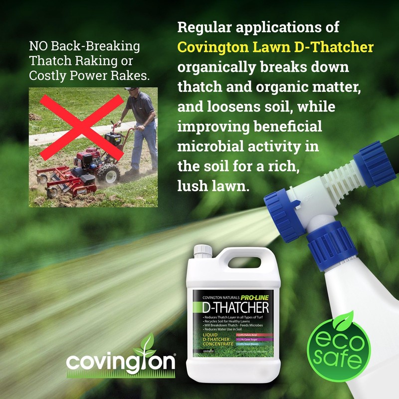 Covington PRO-LINE D-THATCHER Liquid Dethatcher (32oz) – Lawn Thatch Remover