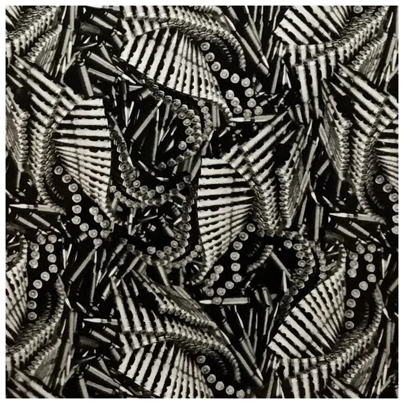 Dip Ape Hydrographic dip kit Ammo Rounds hydro dip dipping