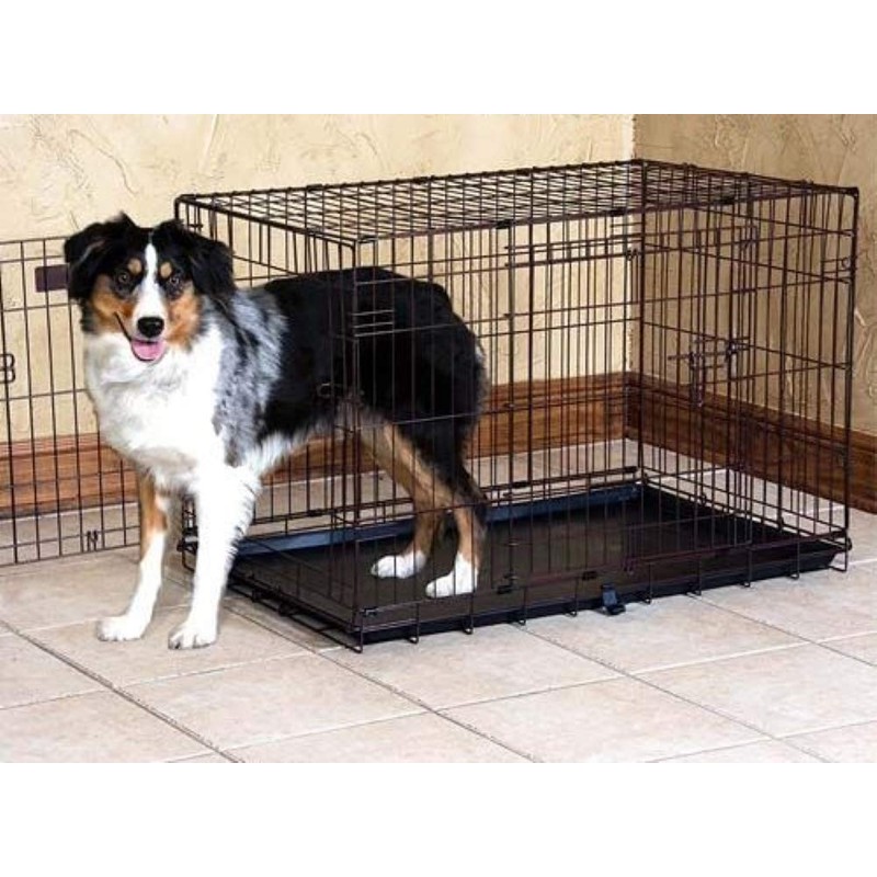 Precision Pet Products Two Door Great Crate Wire Dog Crate,