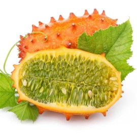 Jelly Melon Seeds for Planting - 30 Seeds African Horned Cucumber - Exotic Melon Seeds to Grow Outdoor Garden