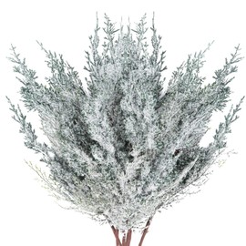 6 Pieces Frosted Artificial Cedar Pine Branches Sprigs 17" Snowy Faux Cedar Twig White Winter Greenery Stems Pine Picks Cedar Spray for Christmas Tree Craft Wreaths Garlands Holiday Season Decor (6)