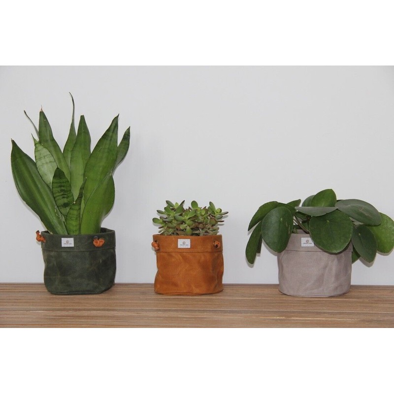 Concept Casa Waxed Canvas Handmade Hanging Planter 6" Dijon Yellow