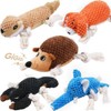 LEGEND SANDY - Juguetes Masticables y Juegos para Perros, Juguete