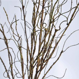 Pursuestar 6Pcs 75cm Lifelike Dry Willow Branches Bendable Iron Wires Artificial Floral Flower Stub Stem DIY Craft Wedding Home Room Vase Office Hotel Hall Decoration