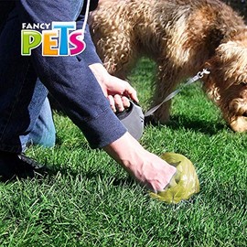 Fancy Pets Dispensador de Bolsas Biodegradables para Perro - Incluye 2 Rollos (60 Pzas), Práctico, Higiénico y Portátil, Con Llavero para Correa