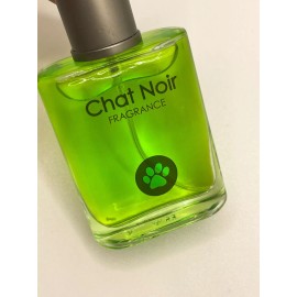 Chat Noir the Fragrance - 30 ml 🐈‍⬛ Miraculous Ladybug!