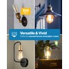 Sunco 12 Pack Edison Bulbs LED ST64, Clear Vintage Filament