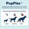 PupFlex+ Chewable Hip & Joint Supplement for Dogs with UC-II®