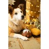 Petface Saski Satsuma Plush Christmas Dog Toy with Built-In Squeaker