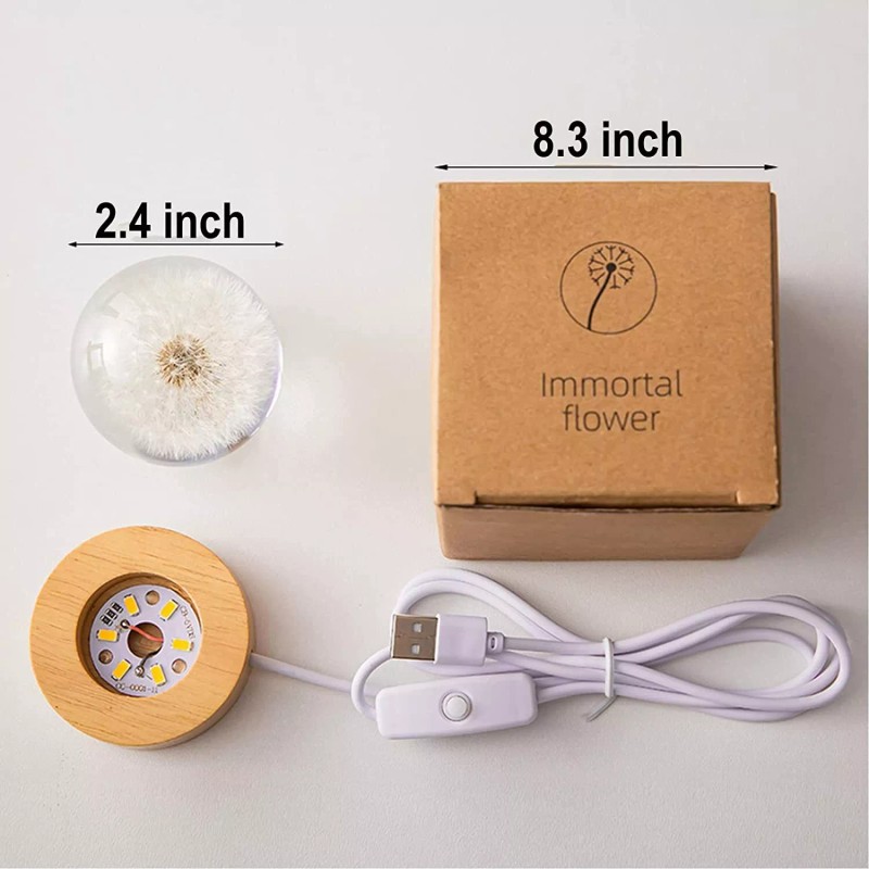 Marzius Yellow Daisy Preserved Flower Crystal Ball Night Light Lamp