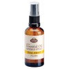 Fabulous Frannie Bug Away Healthy Massage Spritz Made with Carrier