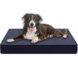 MyBestBuddy Premium Orthopaedic Dog Cushion with 8 cm Full Foam Core, Grey, 60 x 40 cm, S, Dog Mat with Fabric Cover, Washable at 40°C, Allergy Sufferers, Dog Bed for Small Dogs, 60 x 40 cm