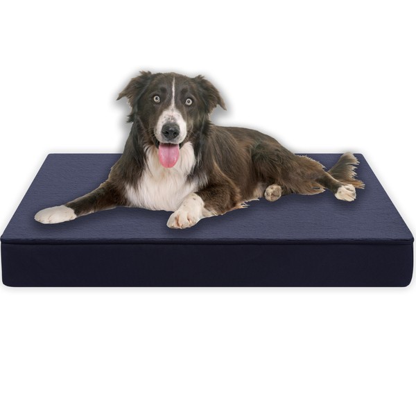 MyBestBuddy Premium Orthopaedic Dog Cushion with 8 cm Full Foam