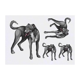 4 x 'Lurcher' Temporary Tattoos - Water Resistant, Skin-Safe, Non-Toxic Transfers, Mixed Sizes (TO00044657)