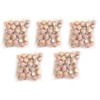 Cedar Elements Closet Storage Accessories (Cedar Balls 200/PK)