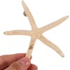 NUOBESTY 7pcs Shell Fridge Magnets Seashell Conch Star Decor Stickers