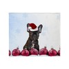 CafePress Christmas French Bulldog Throw Blanket Super Soft Fleece Plush