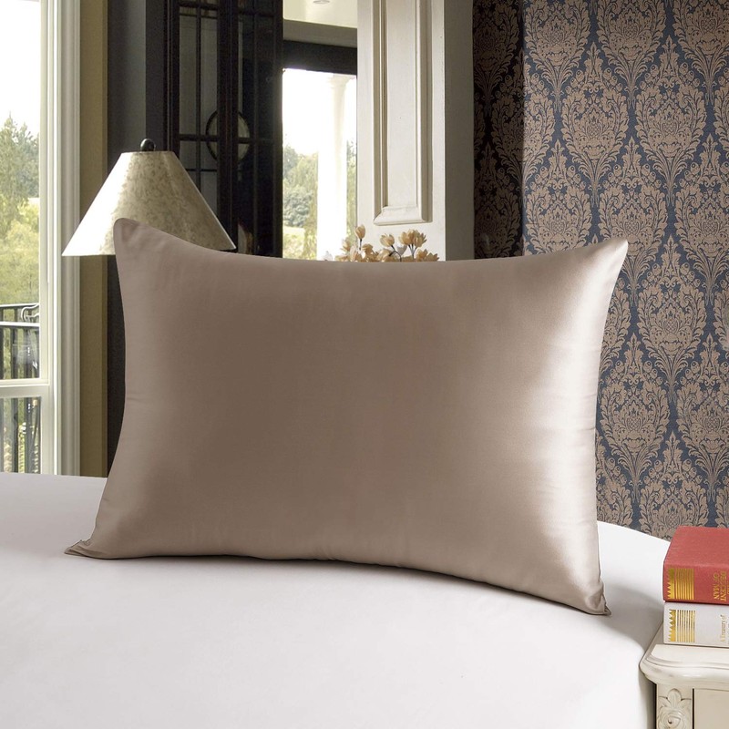 townssilk Both Side 100% 19mm Silk Pillowcase Standard Size Pillow