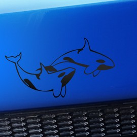 Artistic Reflection Orcas - Killer Whales - Vinyl Car Decal - Choose Color - [Matte Black]
