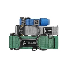 Stellar Ménage Premium Dog Collar - Adjustable Tactical Collar with Breathable Neoprene Lining & Quick-Release Metal Buckle (Size 7, Bronzite Tan)