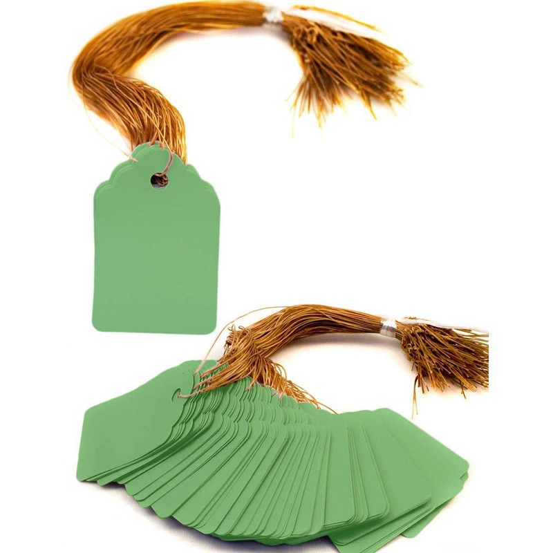 HomeTools.eu® 100 Plant Tags with String, Weatherproof, Plastic, 3.5 x