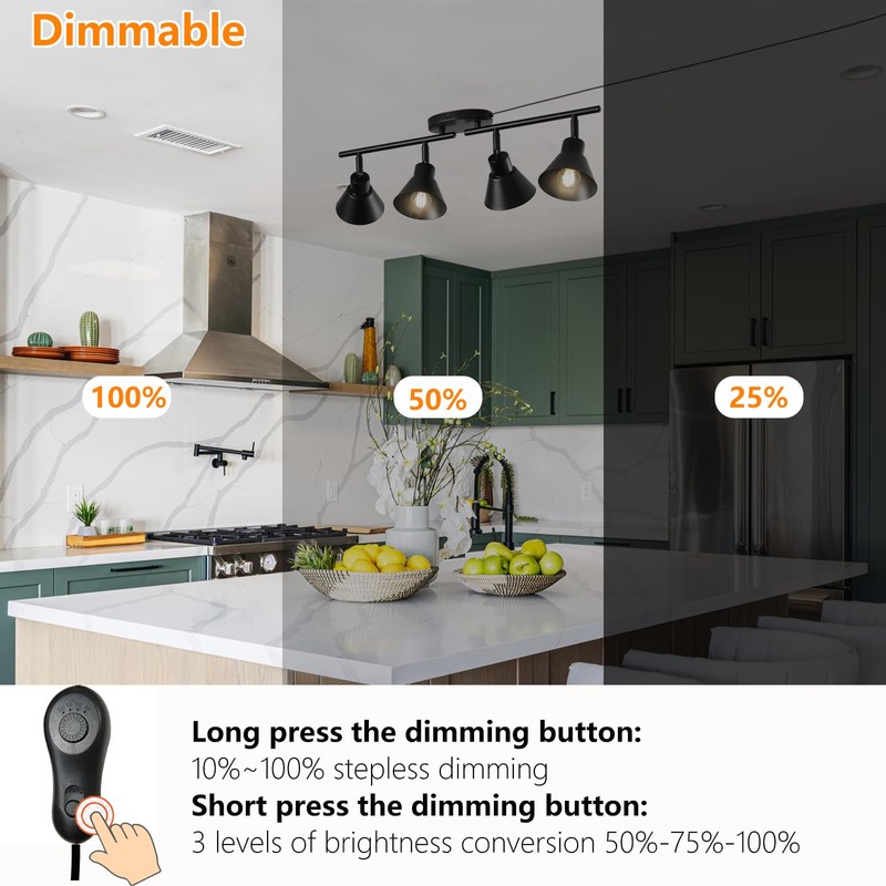 Black 4 Light Plug in Ceiling Light Fixture,Modern Plug in