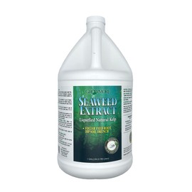 Grow More Liquified Seaweed Extract Fertilizer for Plants - 1 Gallon of Liquefied Natural Liquid Kelp Fertilizer - 11% Organic Kelp Plant Food for Transplant Protection & Root Development