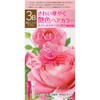 Kanebo Evita Treatment Hair Color 3B Bright Light Brown [Quasi-drug]