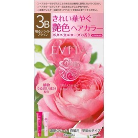 Kanebo Evita Treatment Hair Color 3B Bright Light Brown [Quasi-drug]