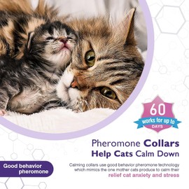 4 Pack Cat Calming Collar, Efficient Anxiety Relief, 38cm Adjustable for Most Cat(Purple)