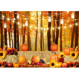LYCGS 7X5ft Fall Backdrop Autumn Thanksgiving Backdrop Fall Forest Photography Backdrop Pumpkin Sunflower Maple Leaf Haystack Thanksgiving Party Decoration Banner Props Photo Booth X-156