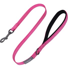 VIVAGLORY Dog Lead, Dog Training Lead with Comfortable Neoprene Padded Handle, Heavy Duty Walking Lead for Small & Medium Dogs