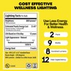 Norb Everyday Sun Light Bulb - Full Spectrum Wellness Lighting,
