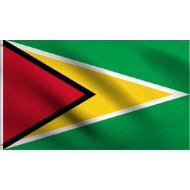 DMSE Guyana Guyanese National The Golden Arrowhead Flag 3X5 Ft Foot 100% Polyester 100D Flag UV Resistant (3' X 5' Ft Foot)