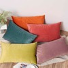 JUSPURBET Coral Velvet Throw Pillow Covers 40x40 CM Set of
