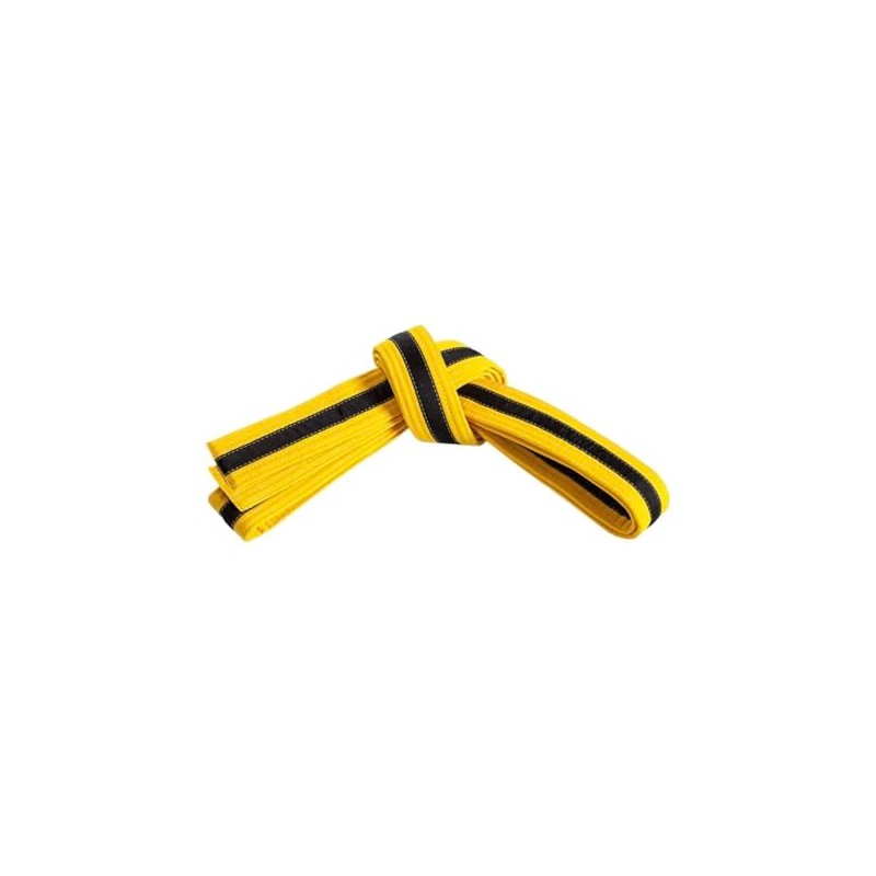 Mastery Leadership (yellow belt/Black stripe, 5)