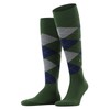 Burlington King Knee Socks Opaque Cotton (Organic), Green Eucalyptus 7502