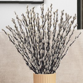 Oning 40 Stems Real Dried Pussywillow Preserved Greenery Branches for Vase-16'' Natural Pussywillows with White Flowers, Snow Willow Branches for Easter Wedding Home Party Hotel Fireplace Yard Decor